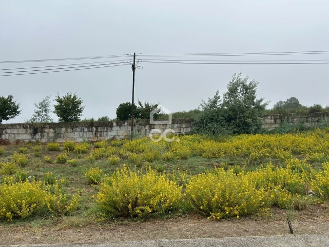 Terreno para Venda em Mangualde, Mesquitela e Cunha Alta Foto 2
