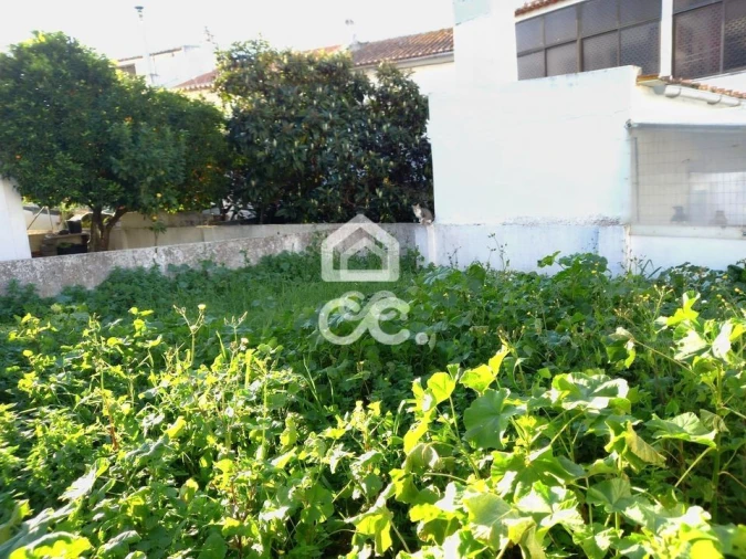 Apartamento T2 para Venda em Beja (Santiago Maior e São João Baptista) Foto 16