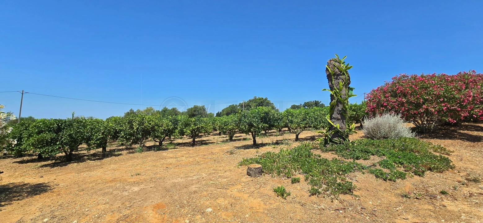 Quinta T3 para Venda em Silves Foto 25