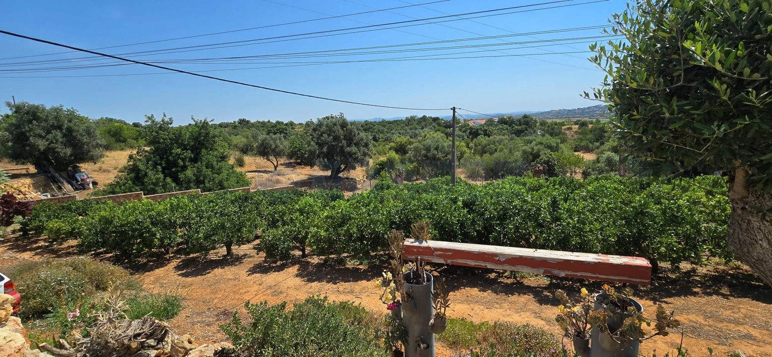 Quinta T3 para Venda em Silves Foto 24