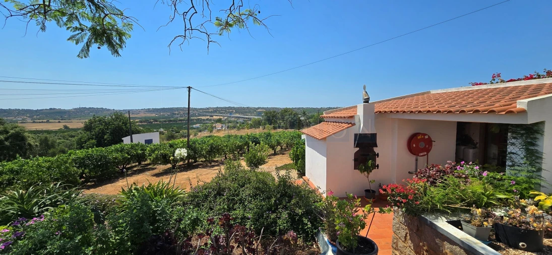 Quinta T3 para Venda em Silves Foto 7