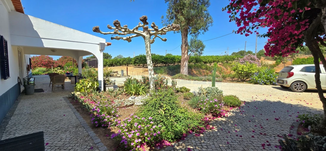 Quinta T3 para Venda em Silves Foto 21