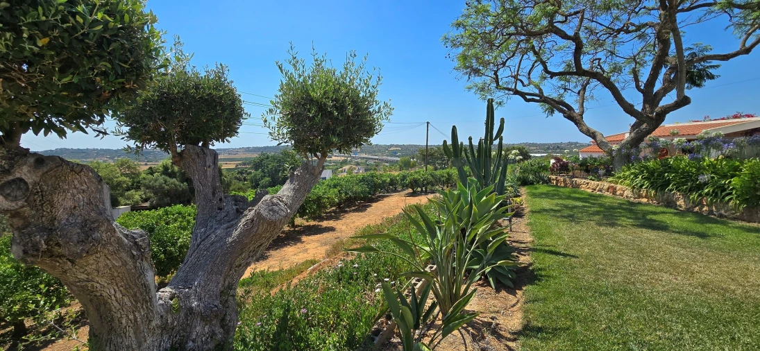Quinta T3 para Venda em Silves Foto 8
