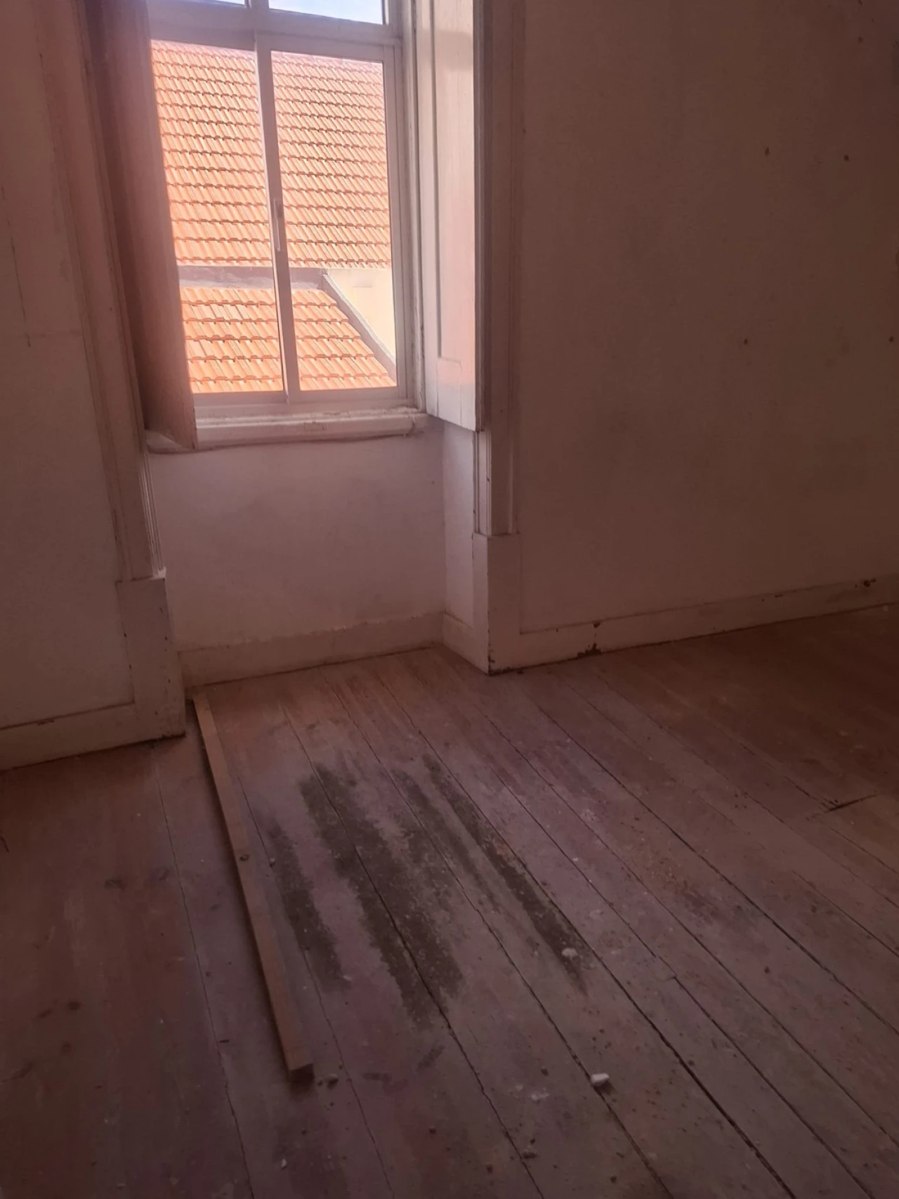 Prédio para Venda em Buarcos Foto 6