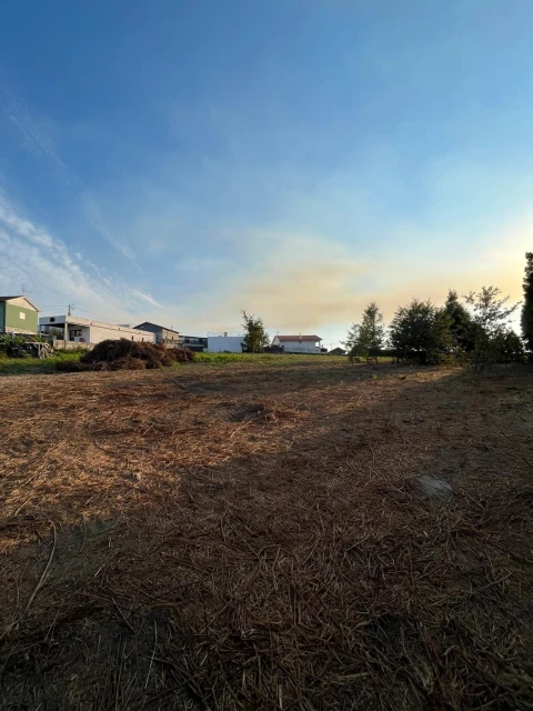 Terreno para Venda em Irivo