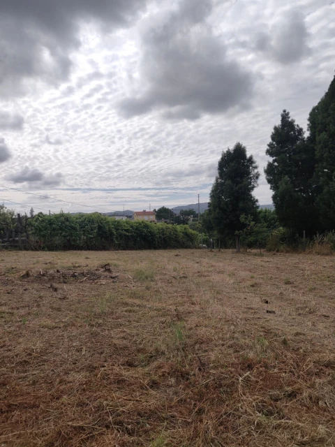 Terreno para Venda em Irivo