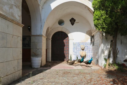 Prédio para Venda em Nossa Senhora da Conceição e São Bartolomeu