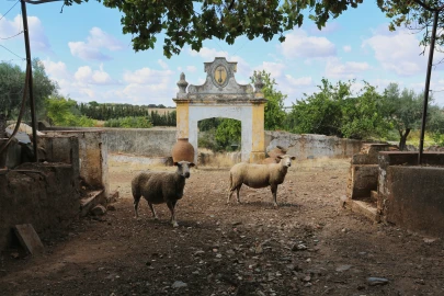 Prédio para Venda em Nossa Senhora da Conceição e São Bartolomeu
