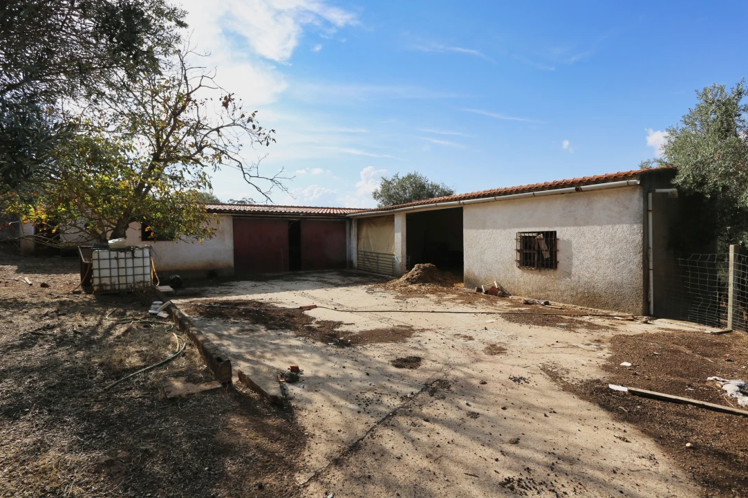 Prédio para Venda em Nossa Senhora da Conceição e São Bartolomeu Foto 35