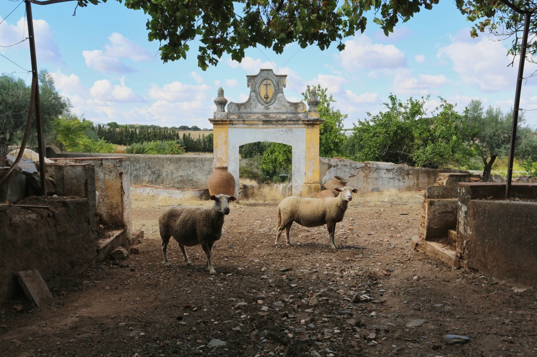 Prédio para Venda em Nossa Senhora da Conceição e São Bartolomeu Foto 26