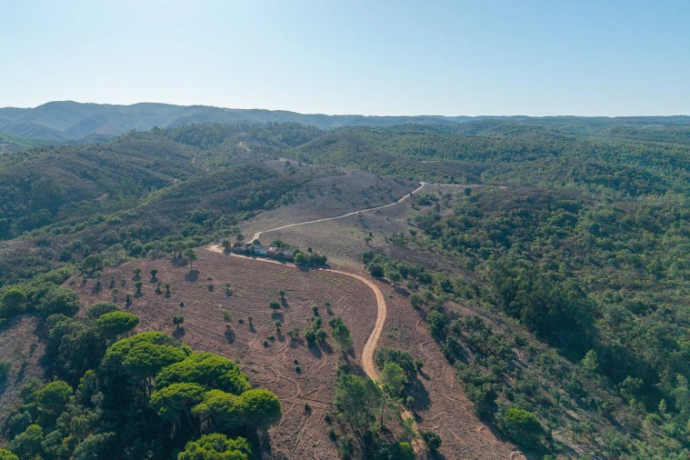 Terreno para Venda em Aljezur Foto 12