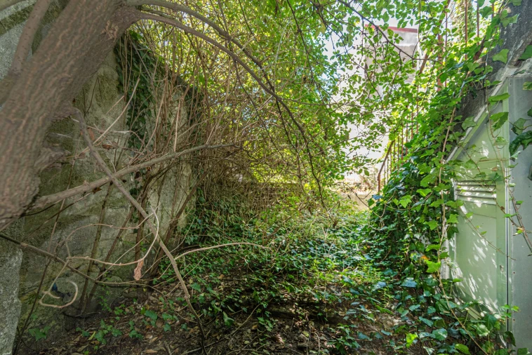 Prédio para Venda em Cedofeita, Santo Ildefonso, Sé, Miragaia, São Nicolau e Vitória Foto 18