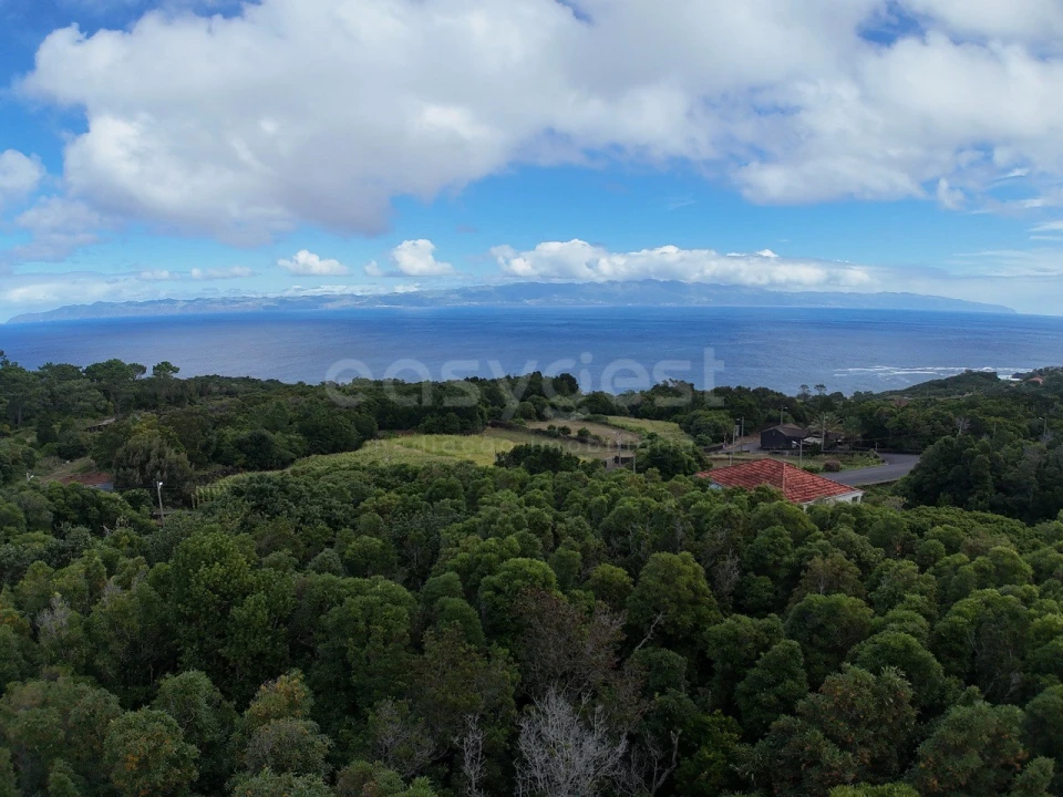 Terreno para Venda em Santo Antonio Foto 1