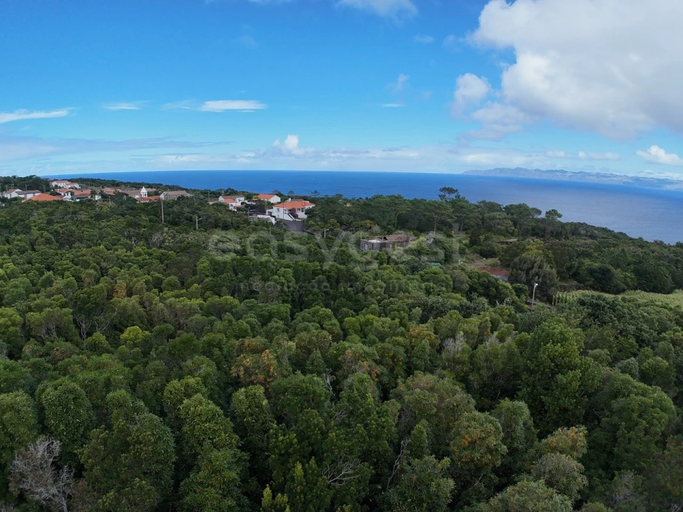 Terreno para Venda em Santo Antonio Foto 5