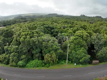 Terreno para Venda em Santo Antonio