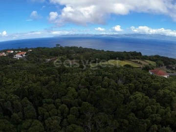 Terreno para Venda em Santo Antonio