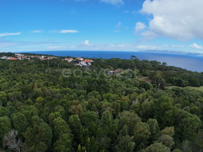 Terreno para Venda em Santo Antonio Foto 5