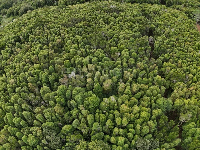 Terreno para Venda em Santo Antonio Foto 6