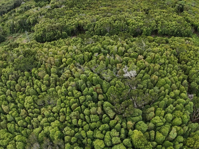 Terreno para Venda em Santo Antonio Foto 9
