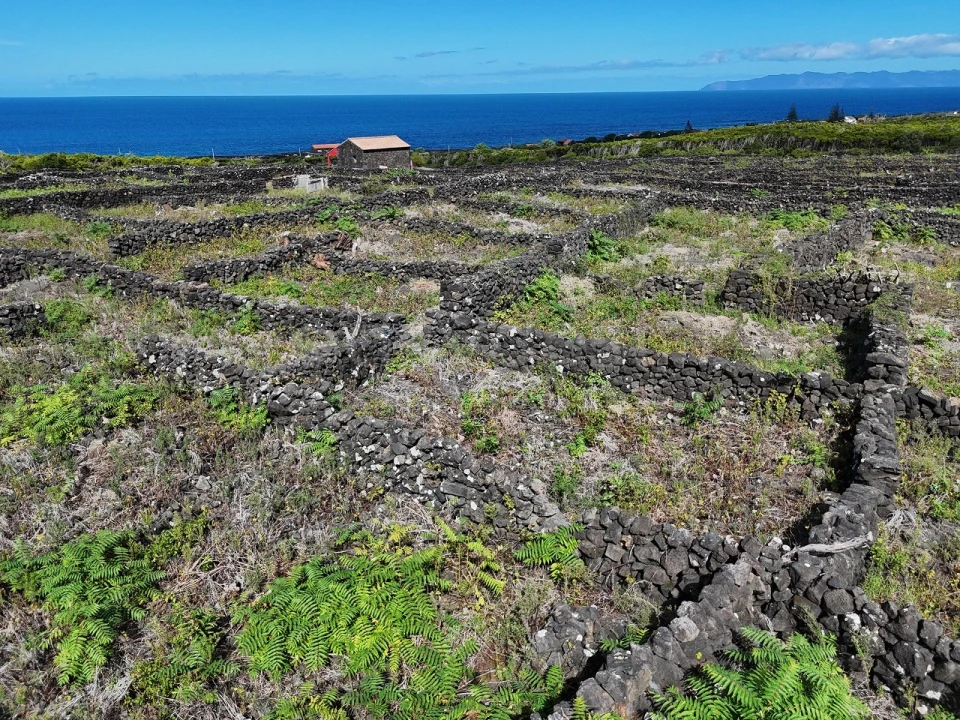 Terreno para Venda em Bandeiras Foto 6