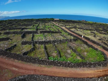Terreno para Venda em Bandeiras
