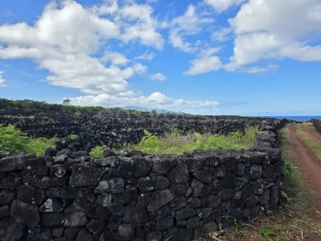 Terreno para Venda em Bandeiras