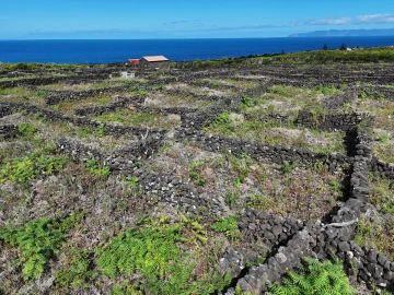 Terreno para Venda em Bandeiras