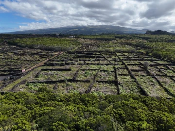 Terreno para Venda em Bandeiras