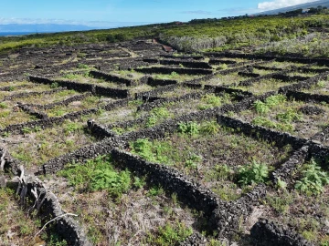 Terreno para Venda em Bandeiras