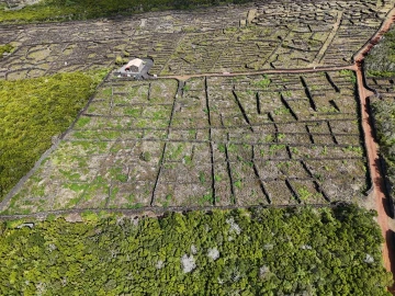 Terreno para Venda em Bandeiras