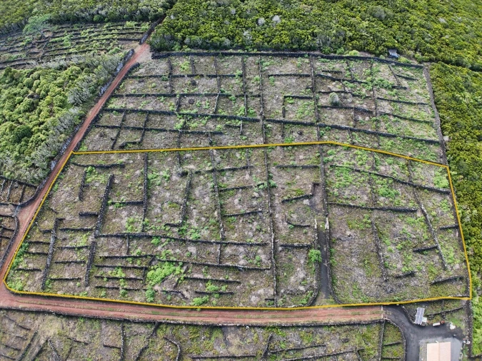 Terreno para Venda em Bandeiras Foto 3