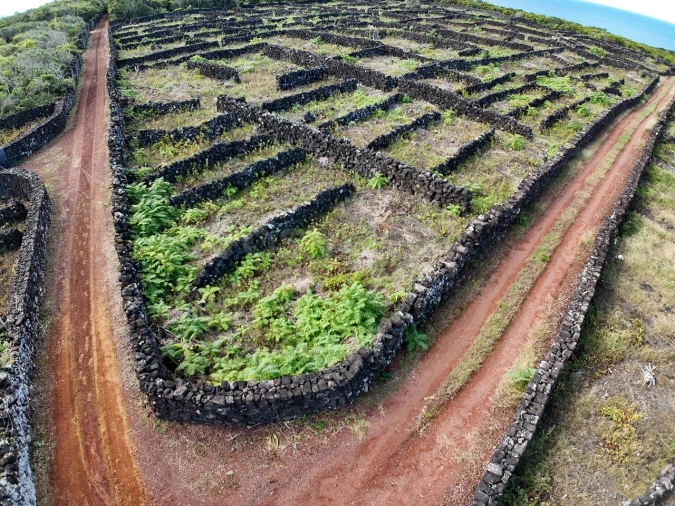 Terreno para Venda em Bandeiras Foto 11