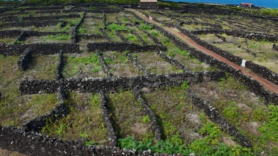 Terreno para Venda em Bandeiras