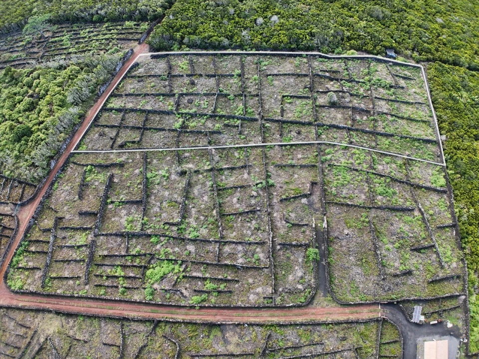 Terreno para Venda em Bandeiras Foto 2