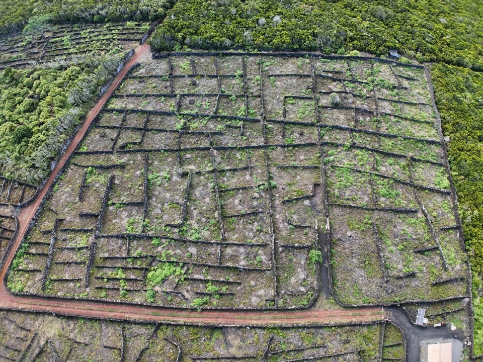 Terreno para Venda em Bandeiras Foto 4