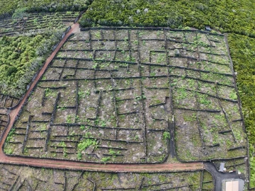 Terreno para Venda em Bandeiras