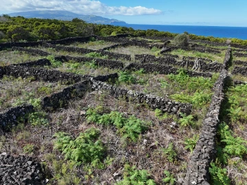 Terreno para Venda em Bandeiras