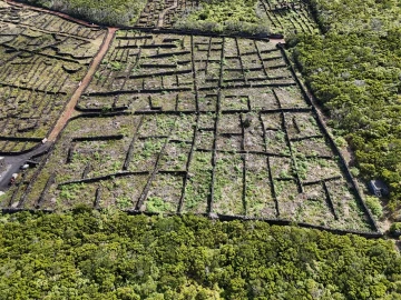 Terreno para Venda em Bandeiras