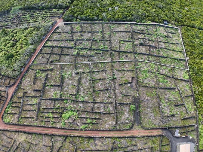 Terreno para Venda em Bandeiras Foto 2