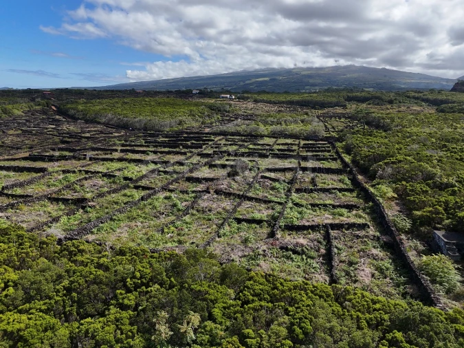 Terreno para Venda em Bandeiras Foto 5