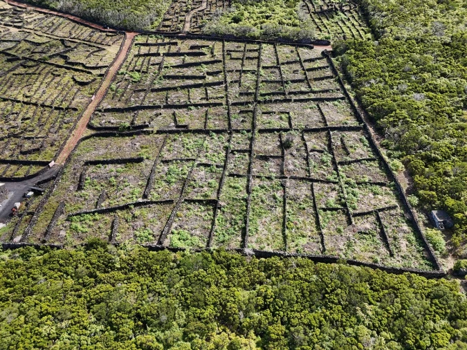 Terreno para Venda em Bandeiras Foto 7