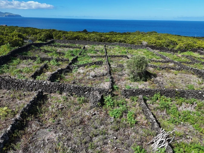 Terreno para Venda em Bandeiras Foto 8