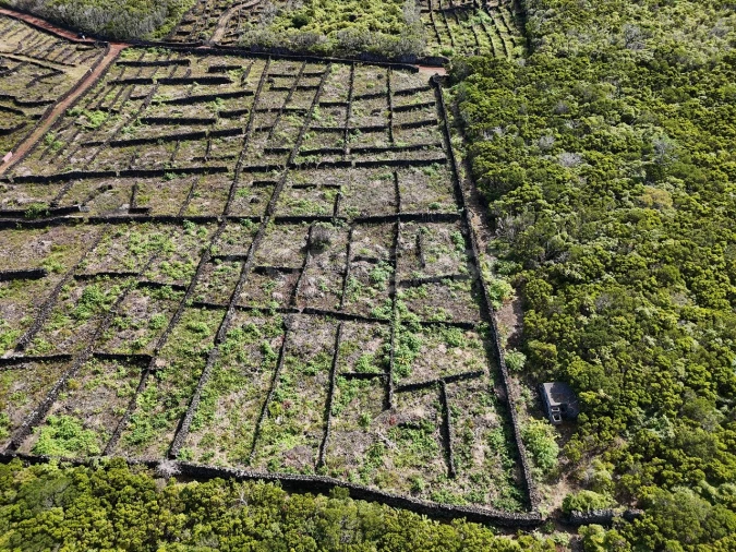 Terreno para Venda em Bandeiras Foto 9