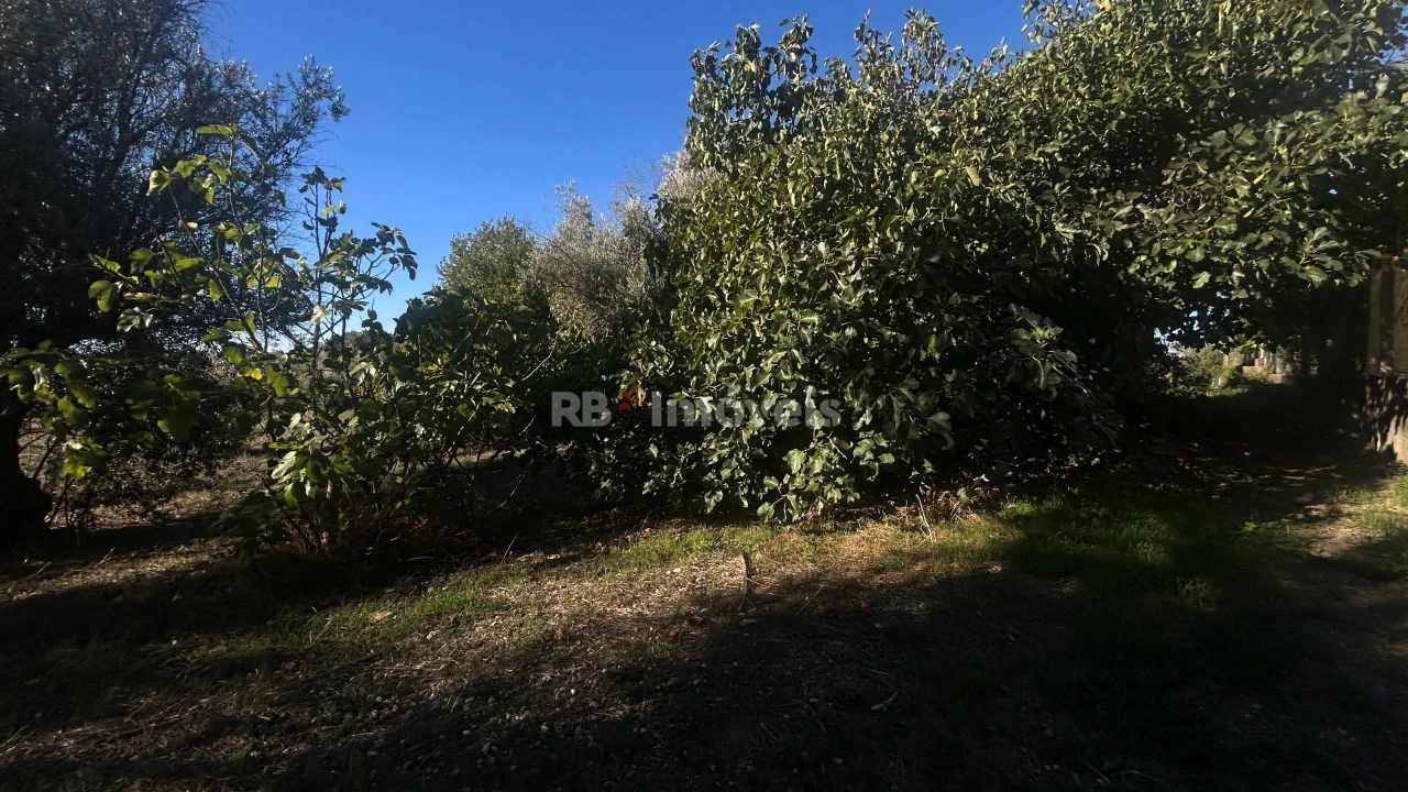 Moradia T2 para Venda em São João Baptista e Santa Maria dos Olivais Foto 12
