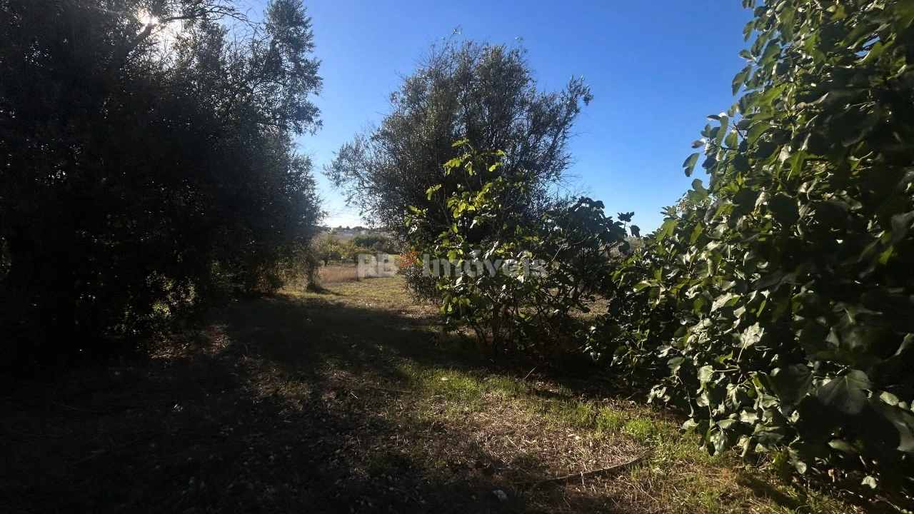 Moradia T2 para Venda em São João Baptista e Santa Maria dos Olivais Foto 13