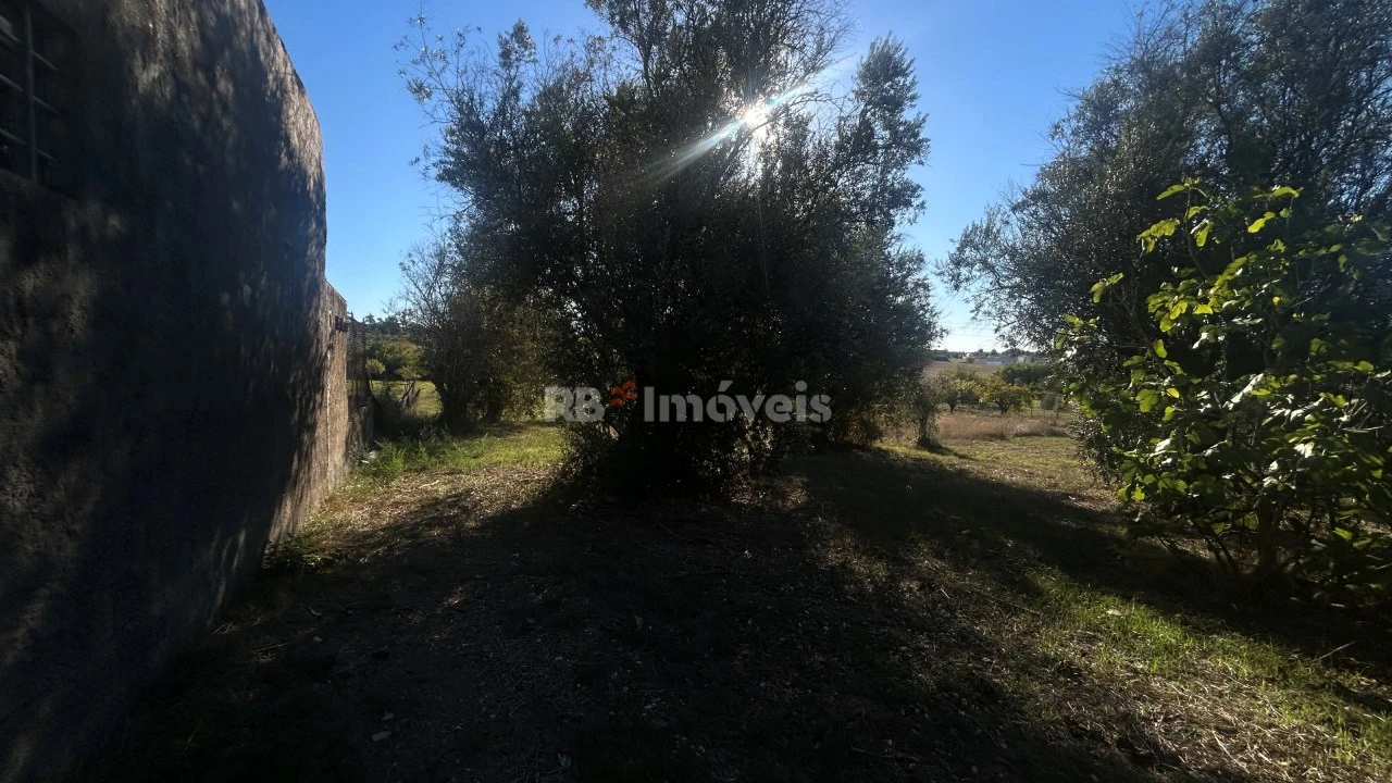 Moradia T2 para Venda em São João Baptista e Santa Maria dos Olivais Foto 14