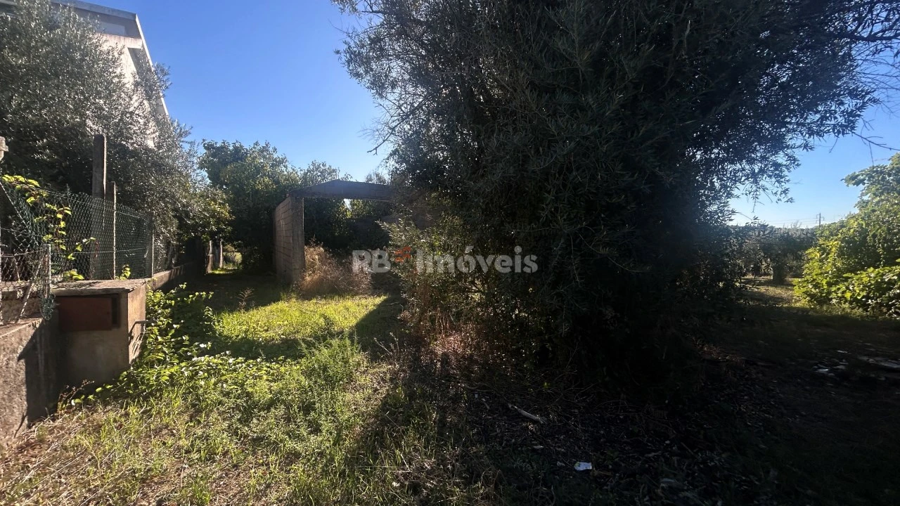 Moradia T2 para Venda em São João Baptista e Santa Maria dos Olivais Foto 21