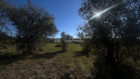 Moradia T2 para Venda em São João Baptista e Santa Maria dos Olivais