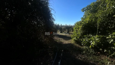 Moradia T2 para Venda em São João Baptista e Santa Maria dos Olivais