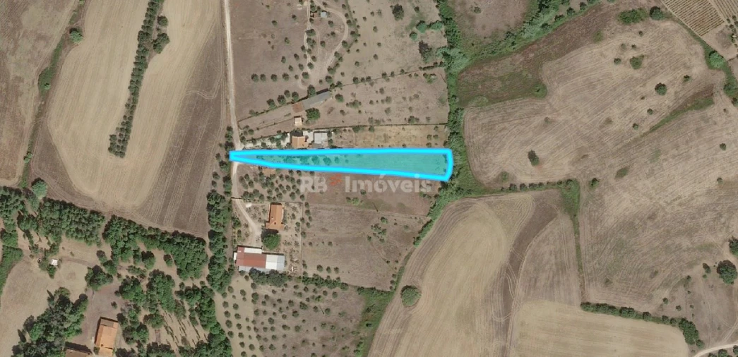 Moradia T2 para Venda em São João Baptista e Santa Maria dos Olivais Foto 5